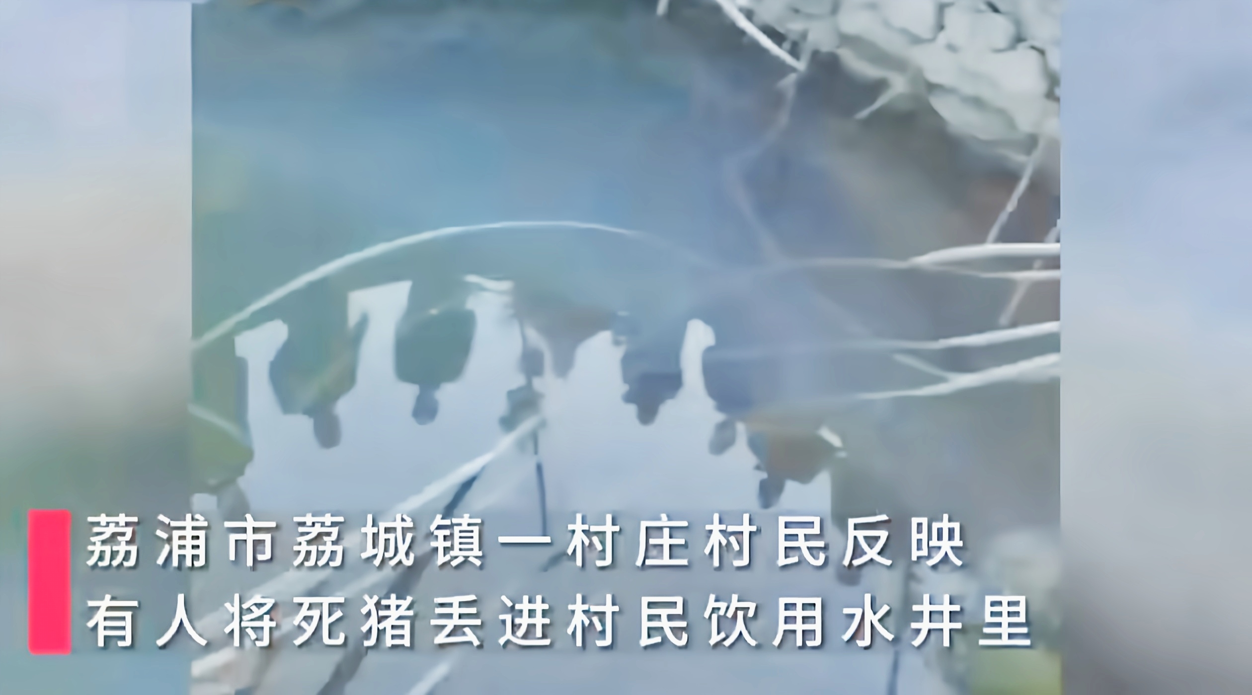 村庄水井惊现死猪，饮水安全何去何从？