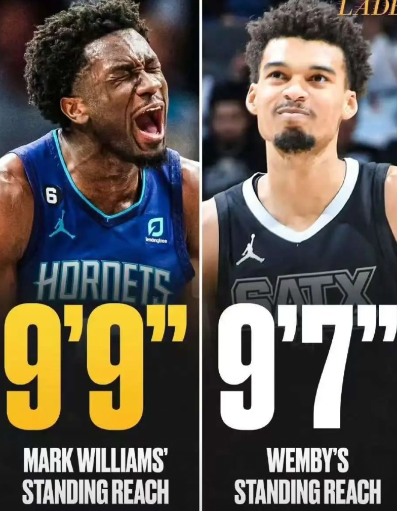 东契奇、马克.威廉姆斯、芬尼.史密斯。
湖人的阵容在交易之后几乎已经没有任何短板