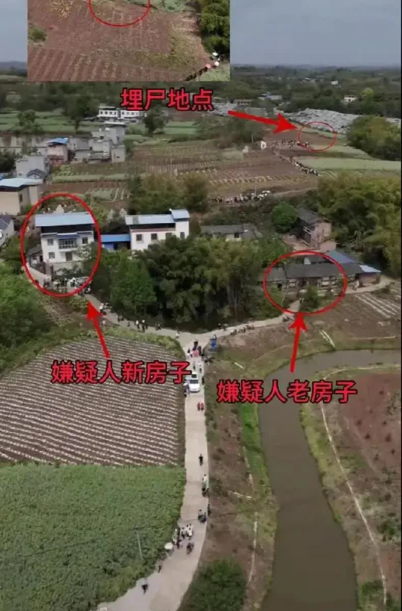 11岁班长女孩被害，全村震惊。嫌疑人是个38岁的装修工人，已有22岁儿子。他残忍
