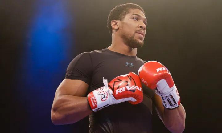 尼尔森：约书亚根本就不想二战杜布瓦
近日，前WBO次重量级拳王英国“娱乐者”约翰