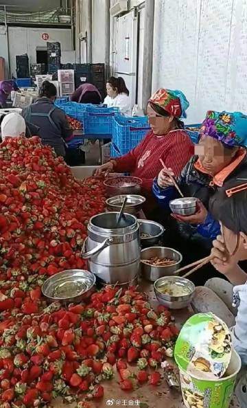 网友：这是草莓分拣工厂流水线，干净又卫生！