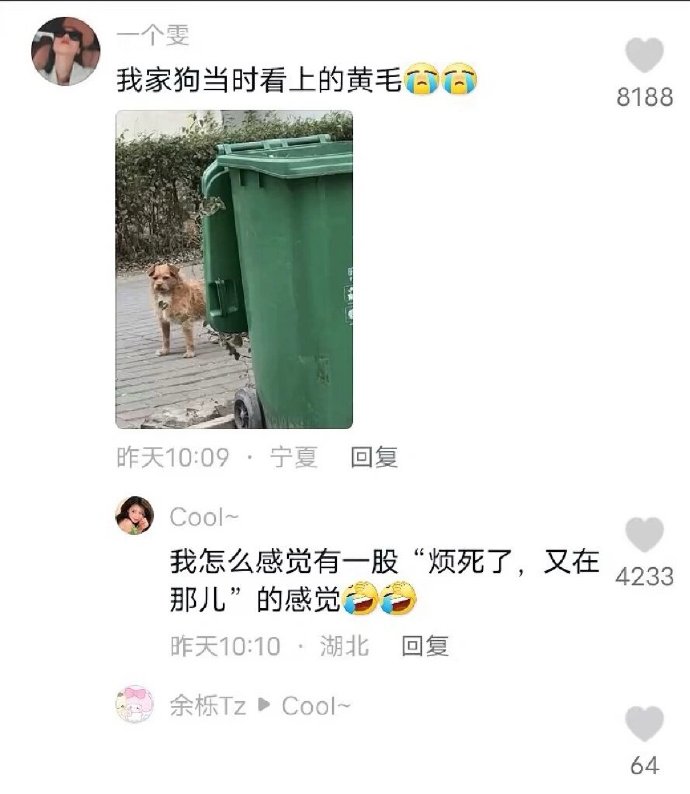 狗狗的心思都写在脸上了