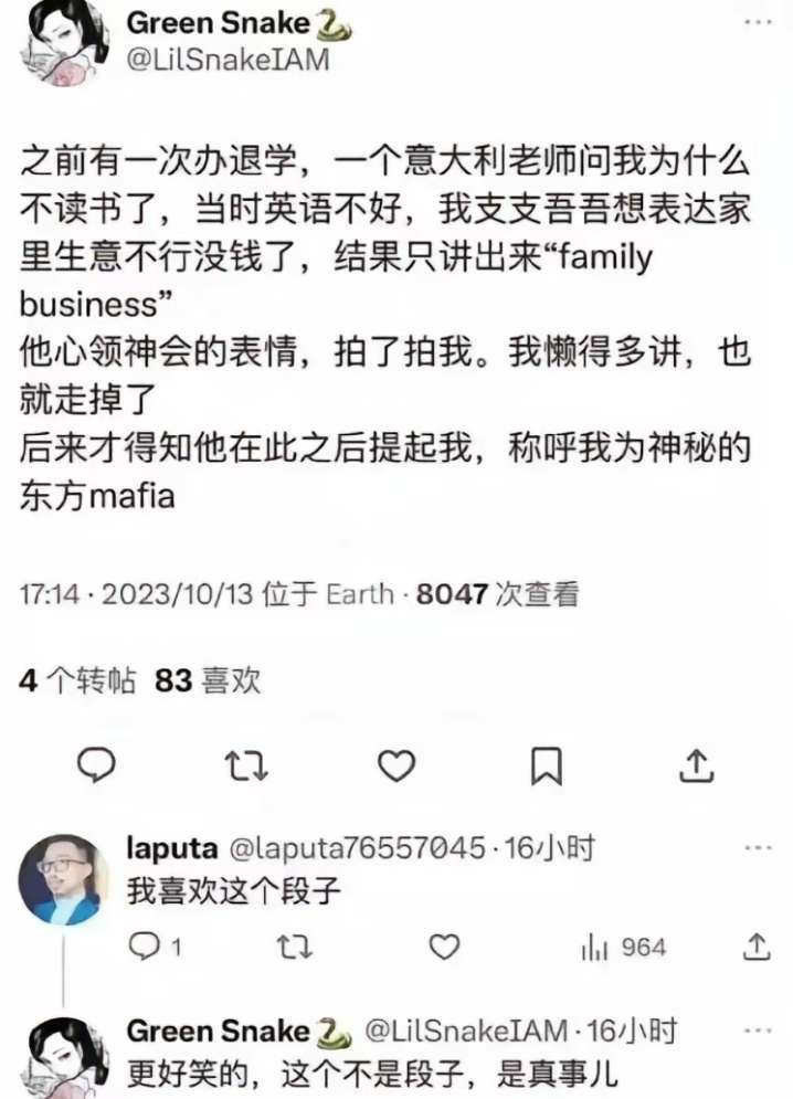 称呼我为神秘的东方mafia