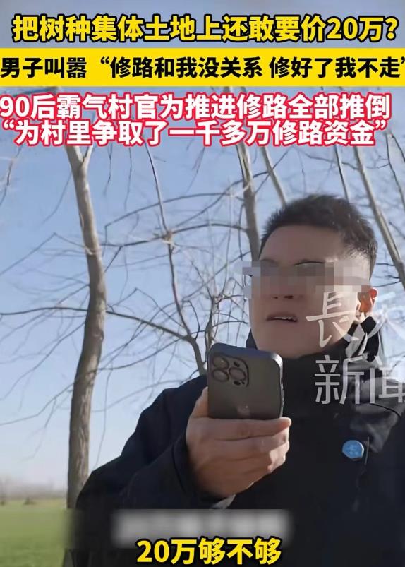 “路边九棵树，20万！”村官为村里修路，争取了1000多万的修路资金，路两边的树