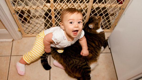 担心宠物抓伤宝宝? 这3点尤为重要