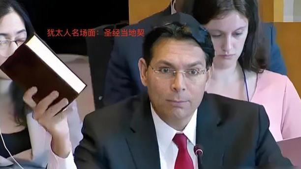 国际法院方向搞错！内塔尼亚胡只是傀儡，通缉“利库德集团”才对