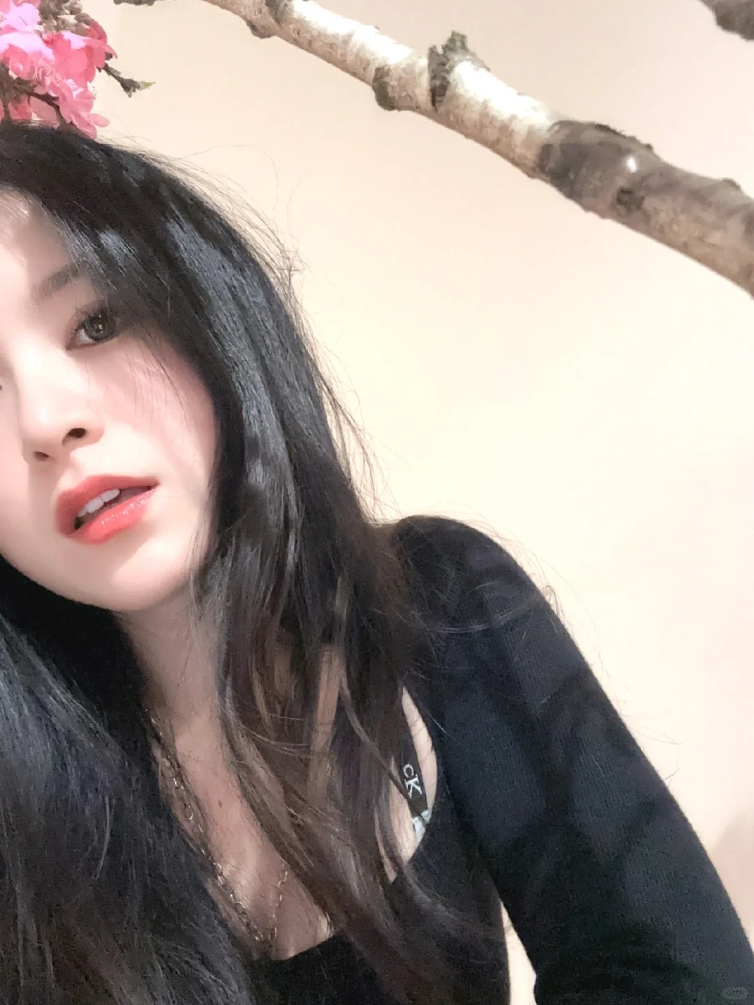 又是一年春🌸