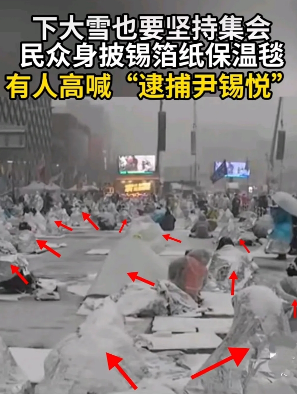 我发现了1个有意思的事，
首尔狂风暴雪，韩国人走上街都披着“锡纸”抗议，他们是买
