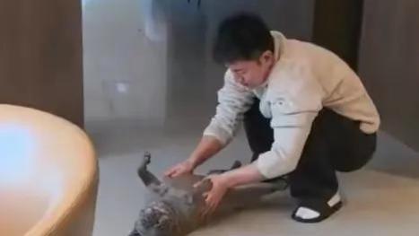 贾乃亮日常逗小狗玩，随和又接地气，让人心生喜爱！