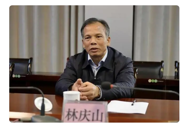 中纪委消息，林庆山被双开