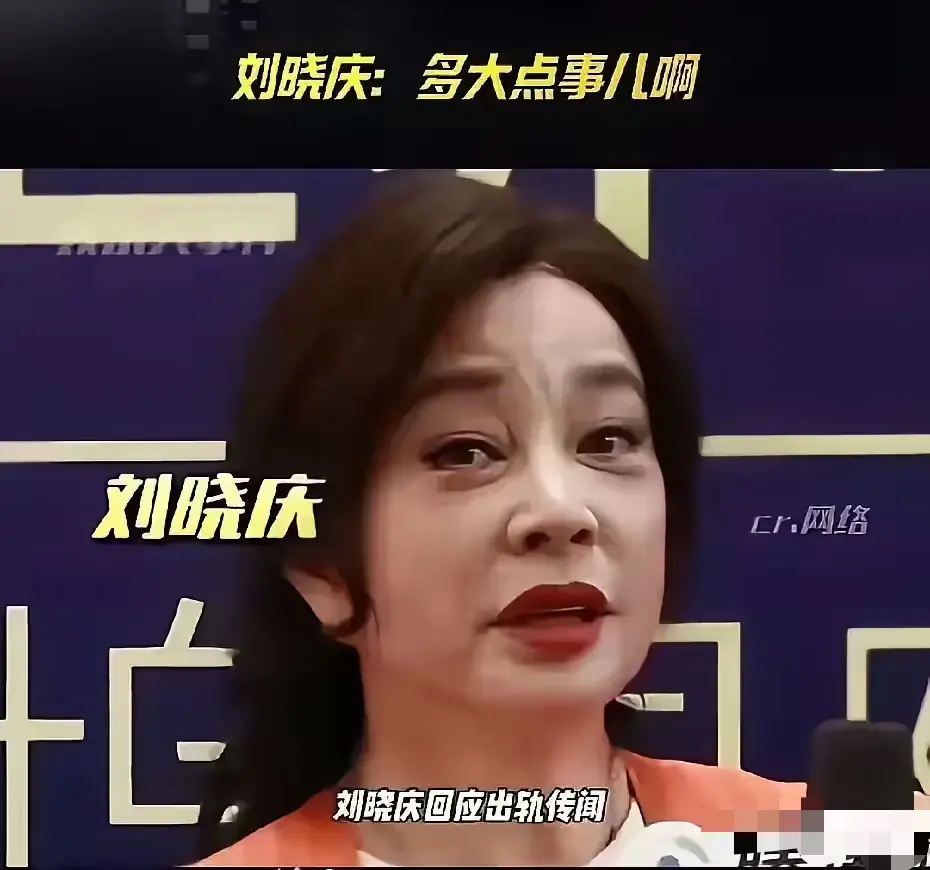 刘晓庆正式回应聊天记录！