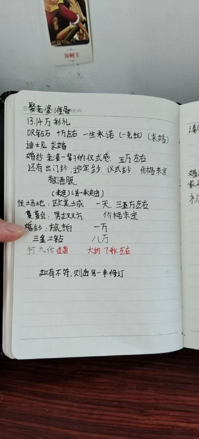 无意间看到了我老弟的娶老婆计划