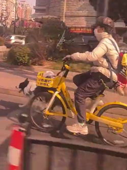 骑车和不骑车的人都震惊了