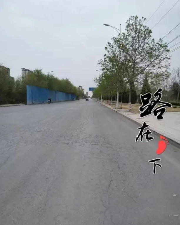 这家茶楼，没有金碧辉煌的装潢，也没有熙熙攘攘的客流，但却有着一种让人心安的氛围。