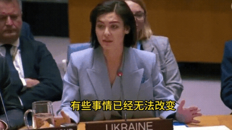 在联合国安理会上，乌克兰代表这话可够猛的