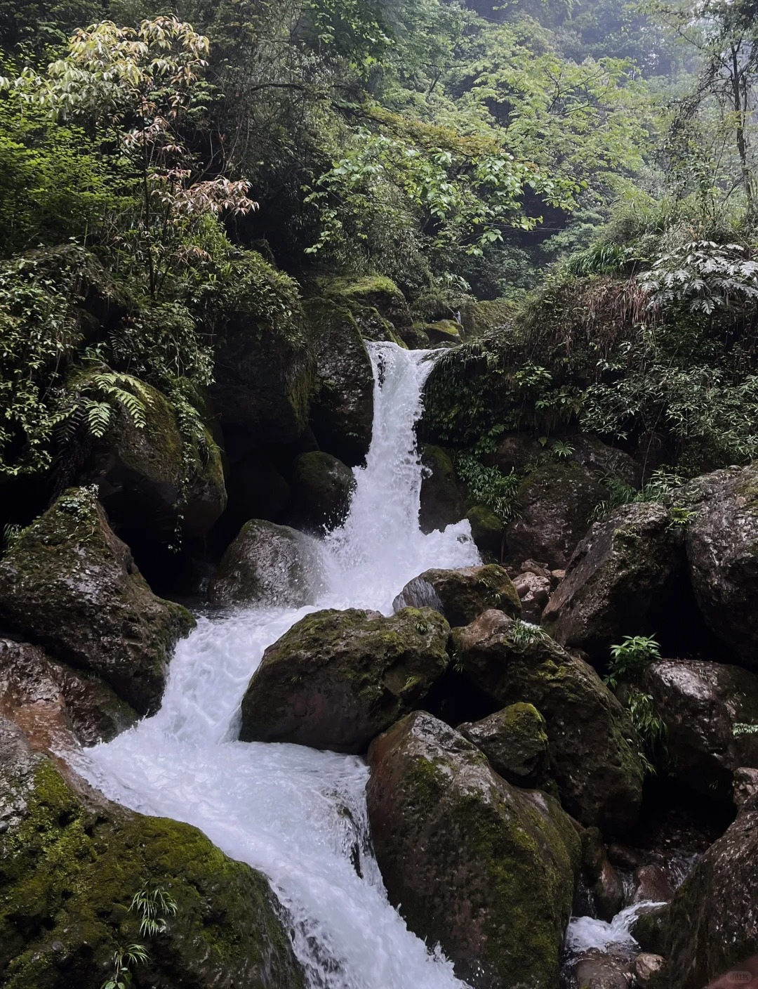 今天是想吐槽去青城山一日游的一天
5.1日和朋友满怀期待的去爬青城山
早上9点从