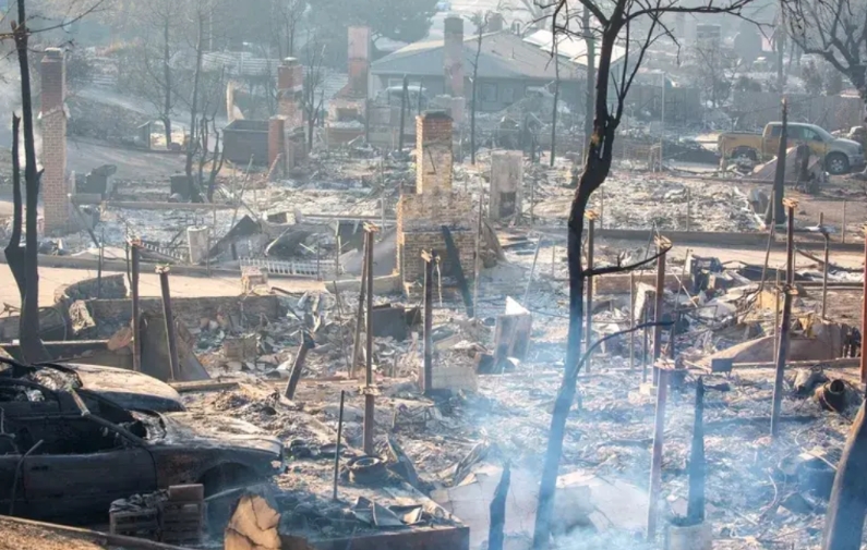 美国保险公司早做过调查，美国那些山火百分90都是有人蓄意放火的。就有那么多反社会