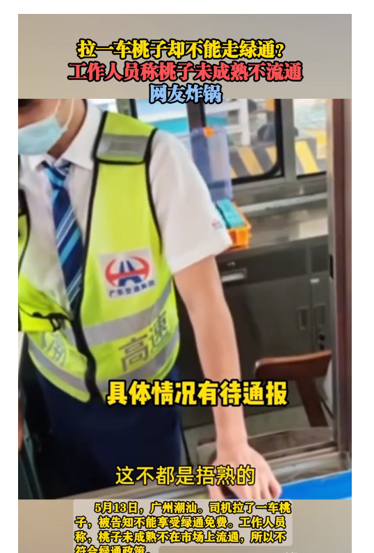 广东潮汕，货车司机运输一车桃子来到某高速公路收费站，准备从绿色通道行驶，却被工作