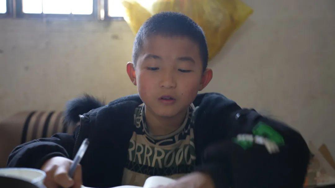 妈妈离世爸爸打工，12岁男孩独自生活，陪伴他的只有一条小狗