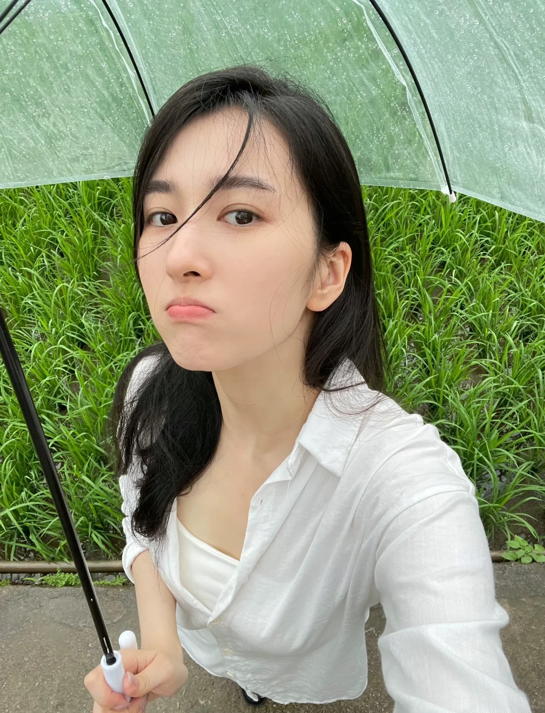 回老家种田去咯