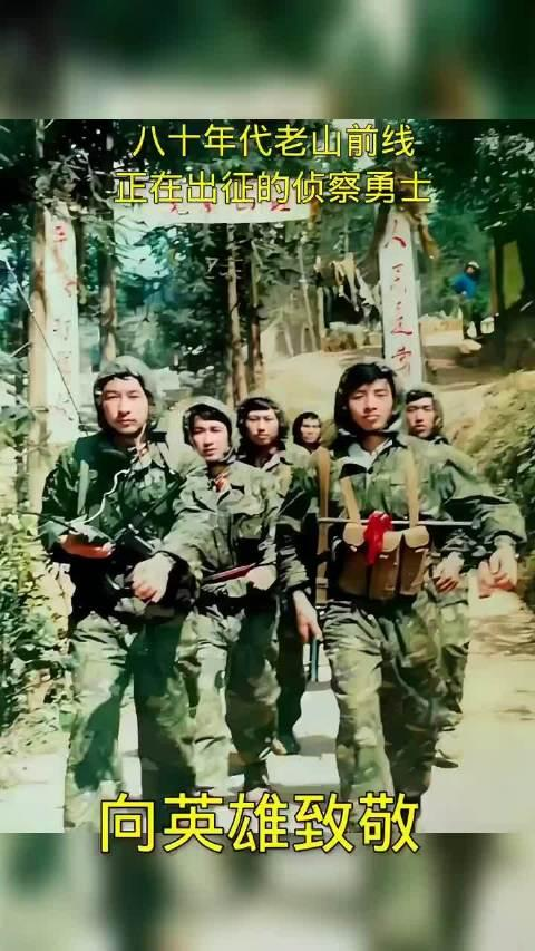 1987年1月7日，老山前线爆发了一场震惊世界的惨战，此次作战史称“北虎行动”，