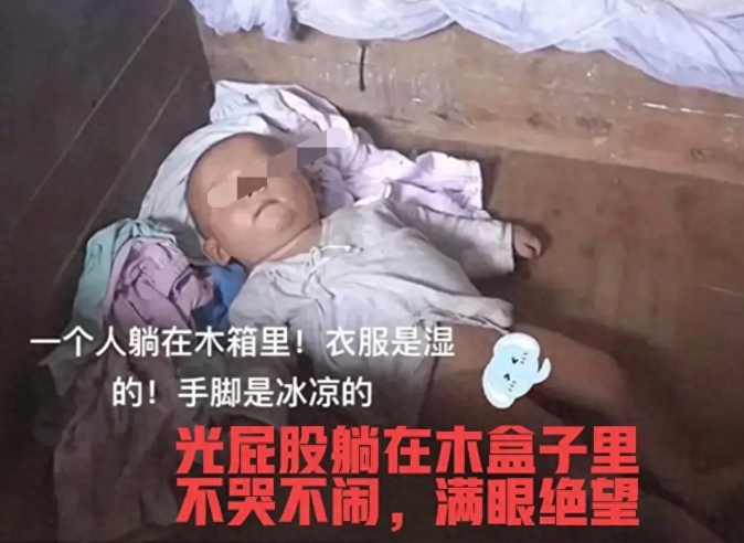 “绝望宝宝”已被领养！
