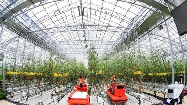 山东蔬菜运往西伯利亚：为保温用6层草帘子，4000公里走100小时