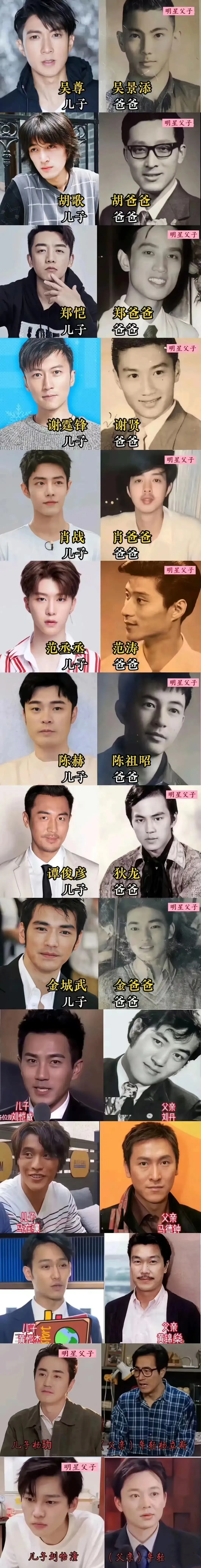 这也太神似了吧，爸爸基因强大，爸爸里面狄龙最帅.没有之一，我终于知道我为什么当不
