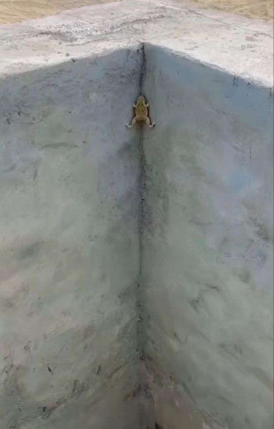 你还有什么理由不努力呢？