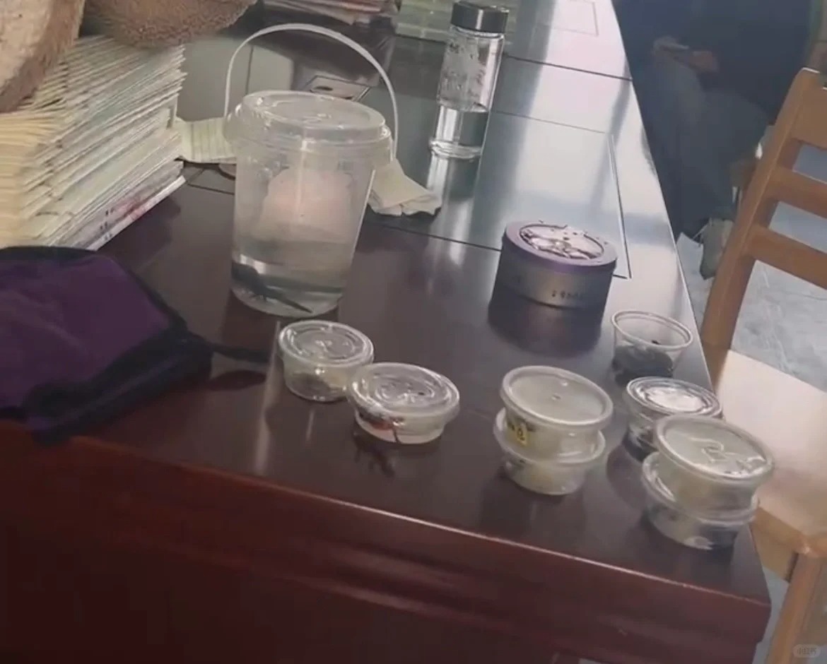 现在的小学生都开始这么玩了吗
今天在班里听到孩子们说有带针管的
还是在校门口买的