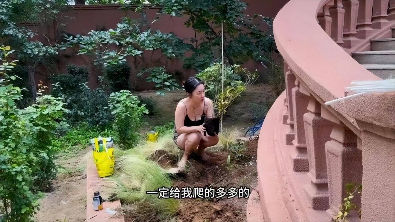霍思燕43岁豪宅内穿吊带裙劳作，独特造型引热议，身材依旧惊艳（霍思燕挺漂亮的）-第2张图片-九妖电影