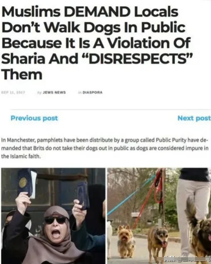 在英国的非法移民要求，英国人不可以出门遛狗，因为这违反了他们的沙里亚法，对他们不