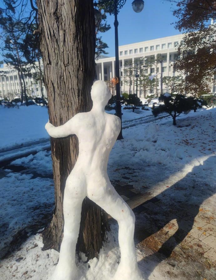 冬天到了，雪人开始抽象了！