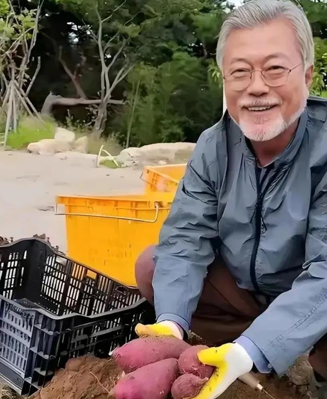 韩国前总统文在寅的退休生涯洋溢着悠然自得的气息，他不仅得以沉浸于侍弄花草的雅趣之
