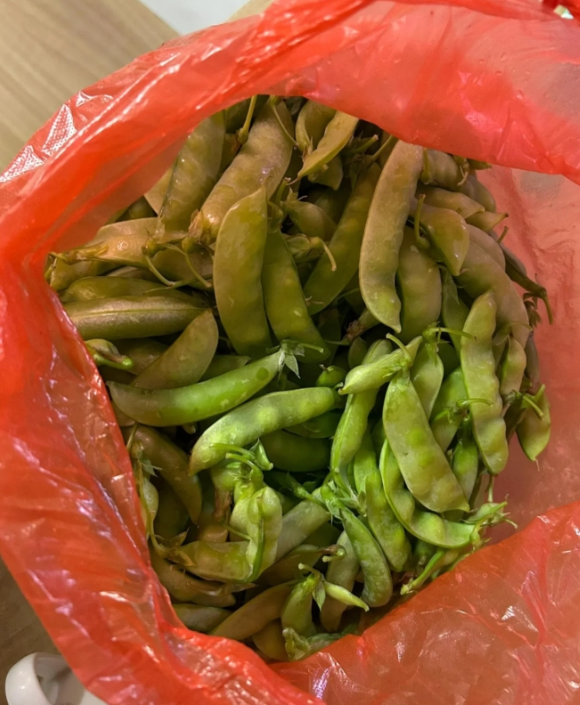 今天隔壁的大姐拿了一袋这个给我，说是她自己种的，味道不错，送点让我尝尝。我礼貌的