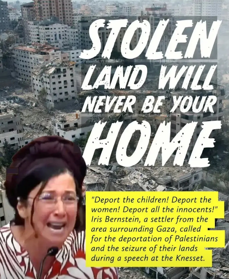 天道轮回：在加沙长期居住的以色列女子 ——Iris Bernstein ，之前在