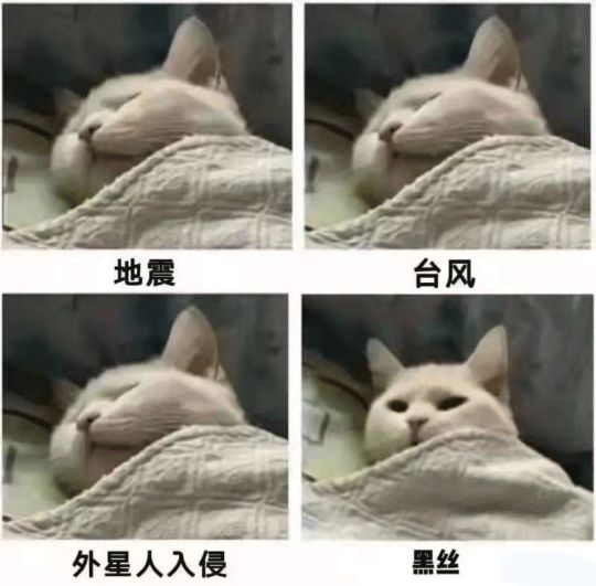 该怎么得到你用麻袋还是甜言蜜语
