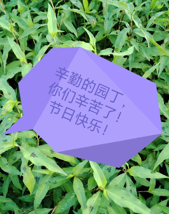 大家还记得上学时期，老师说过的那些经典语录吗？

记得刚上高中时，班主任在第一节