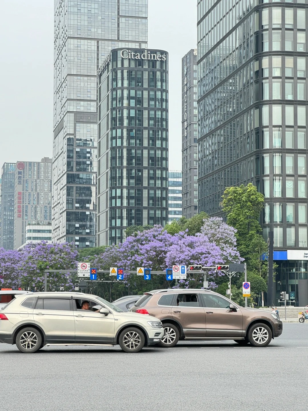 成都三街上班！求买房建议！
刚从上海回来不是很了解成都的楼市。三五街打工人，你们
