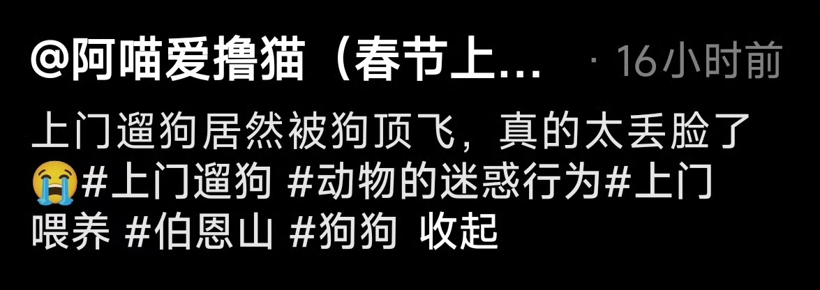 上门遛狗遇到了职业生涯危机