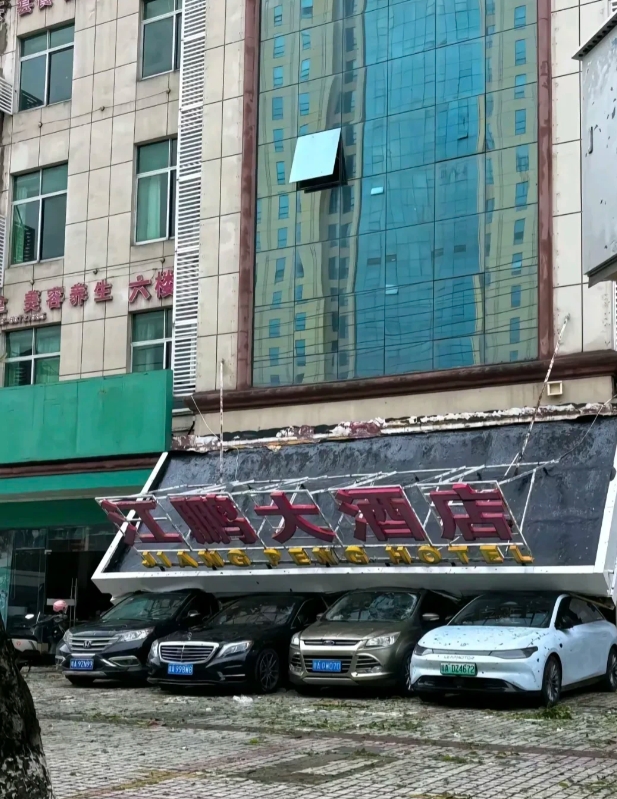 台风过后，看着这些损毁场面就难过，这次台风摩羯给海南造成的损失太大了，这两年本来