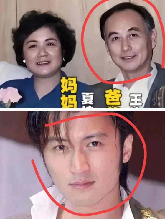 王菲老爹和谢霆锋简直一个模子刻出来滴，
不是一家人不进一家门，绝非诳言！

王菲