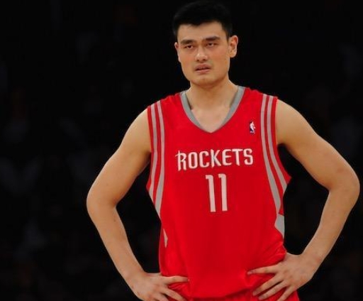 姚明的NBA征程