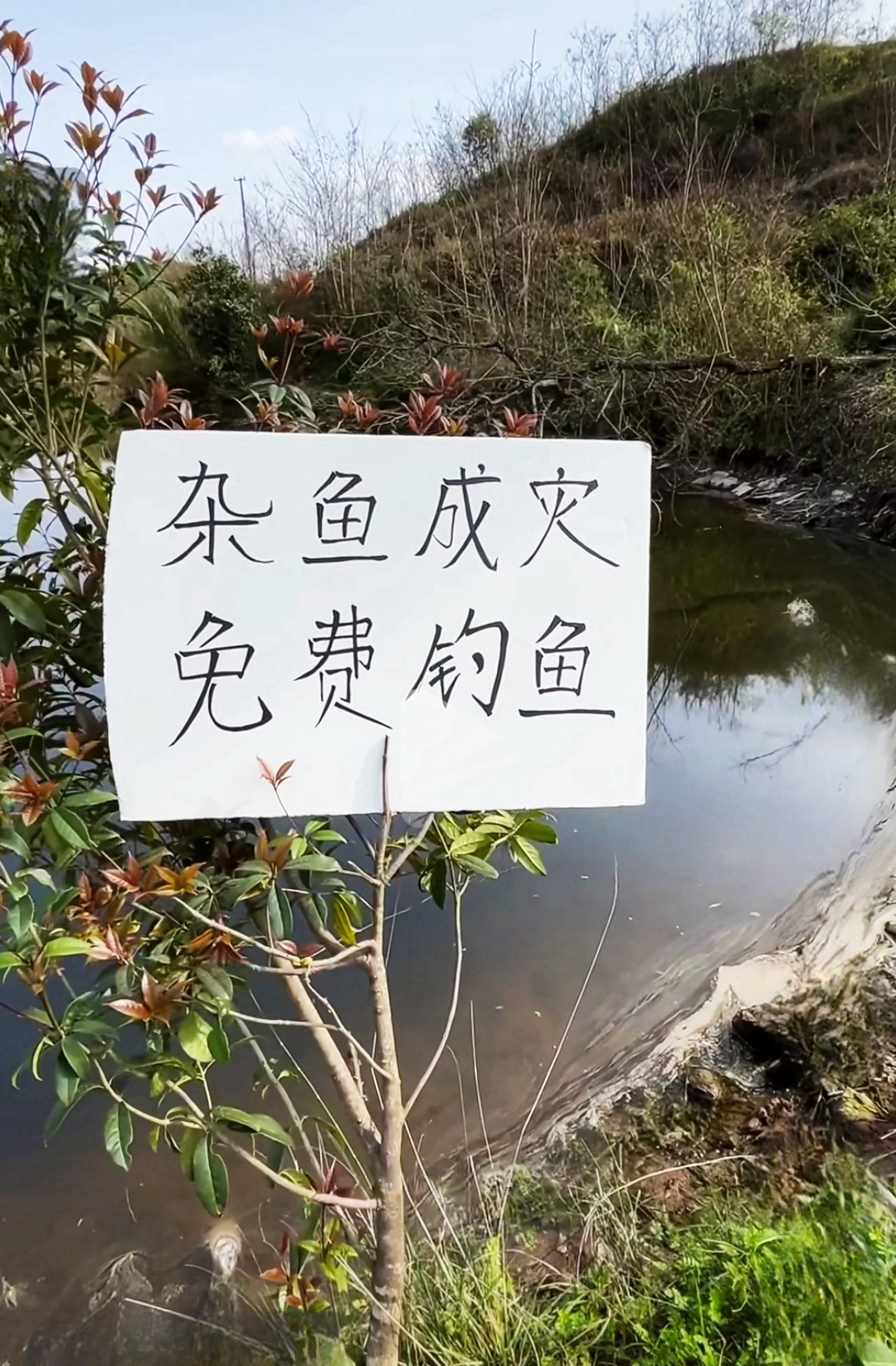 钓友们说，这地儿能下竿不？结果会怎样？