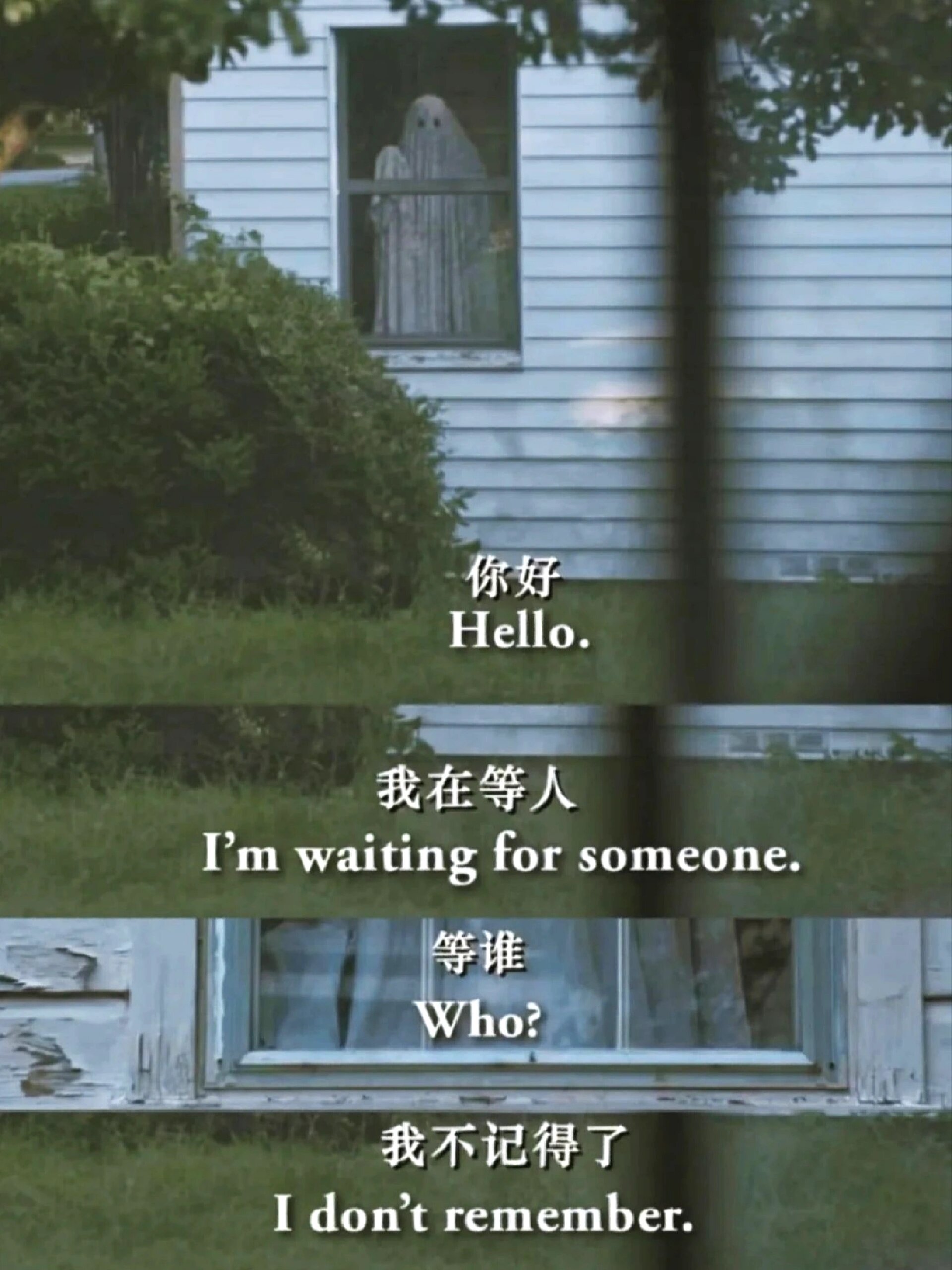 我居然找到了这部电影！年度催泪之作