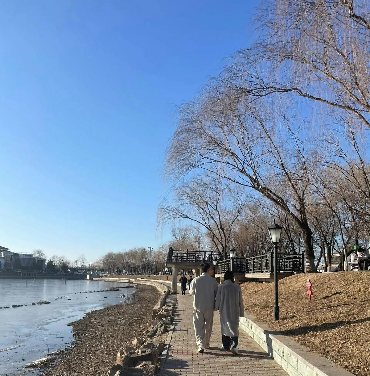 刘晓庆被小男友偷家还迟到录节目

                       