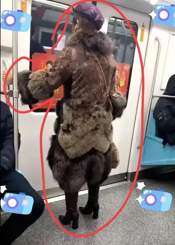 这样穿像贵妇吗？听说这身行头好几万呢？昨天下班回来，没赶上公交车，我就坐了地铁，