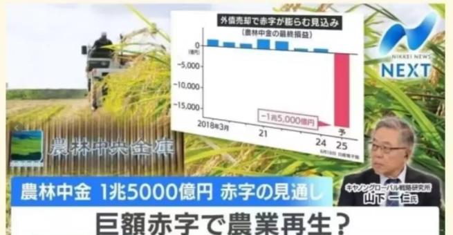 日本近期因大米价格暴涨发生米荒的原因似乎找到了！

没钱买大米投放市场是因为投资