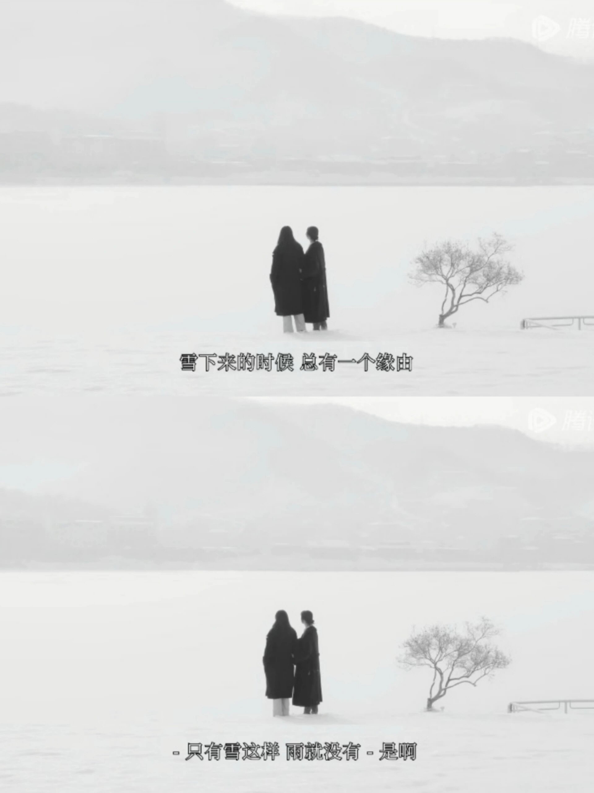 小众文艺电影巨美！值得一看