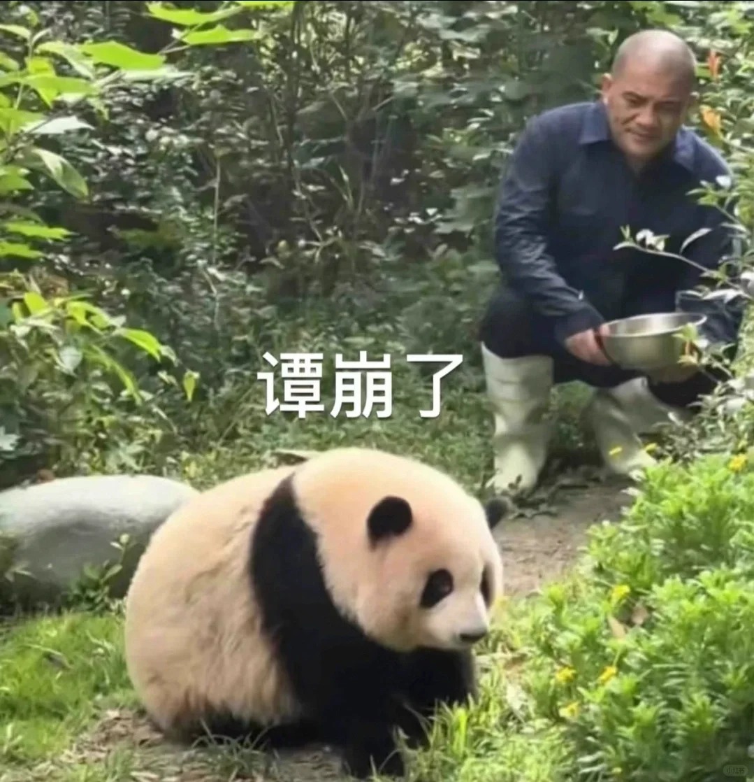 世界名画《谭崩了》
谭爷爷：你走不走？
🌸🌸：你抱不抱？